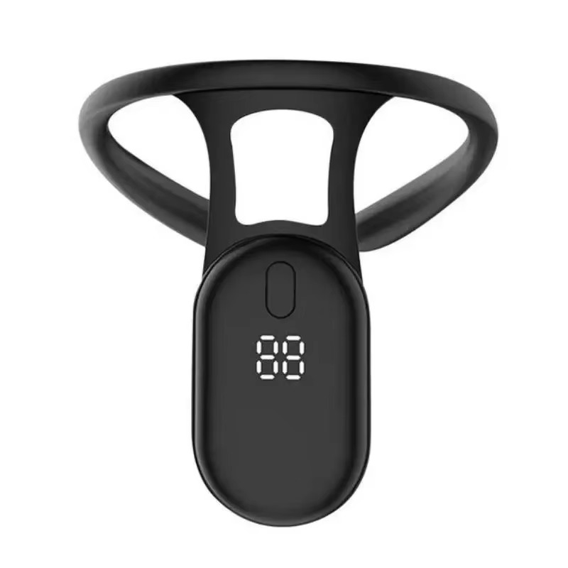 HOMEFISH HOMEFISH Smart Postur - огляд і ціна Smart Posture Sensor