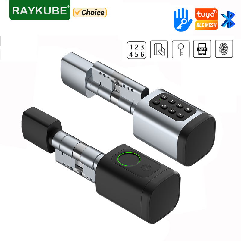 RAYKUBE V1 Tuya BLE TT Lock Sm - огляд і ціна Unique Electronics Gadgets