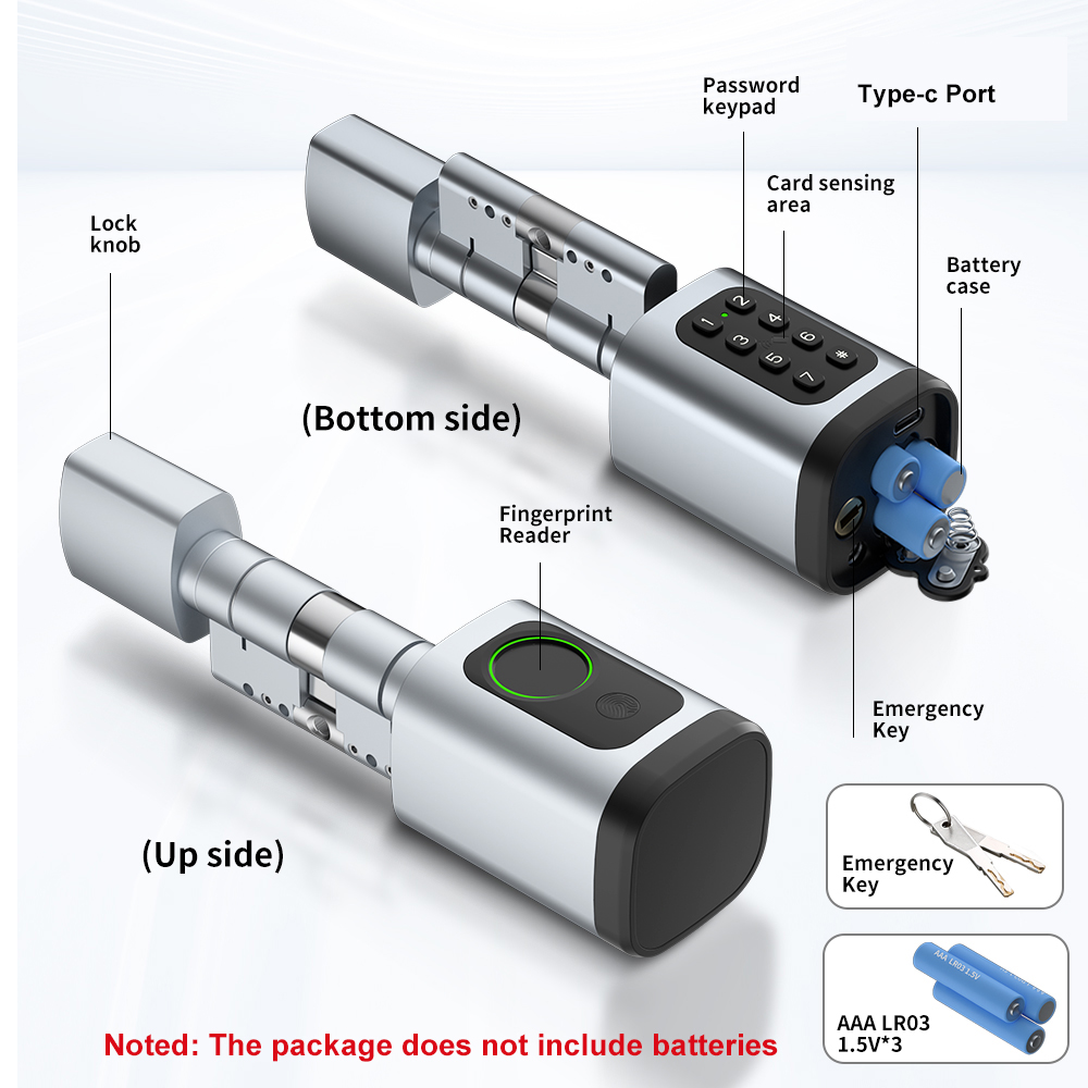 RAYKUBE V1 Tuya BLE TT Lock Sm - огляд і ціна Unique Electronics Gadgets